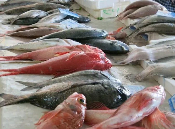 Apartamento Serenabeach *